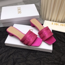 Christian Dior Slippers